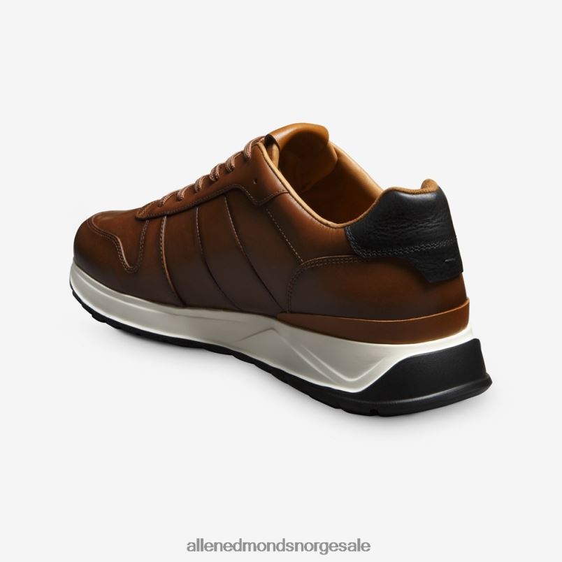 nei Allen Edmonds menn lawson sneaker med snøre kastanjeskinn 64B6Z335