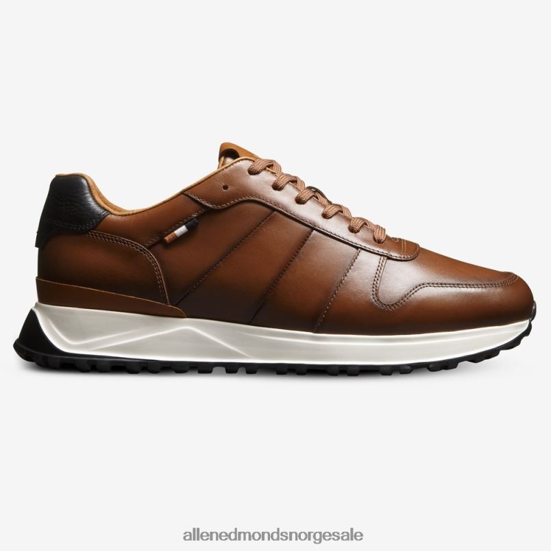 nei Allen Edmonds menn lawson sneaker med snøre kastanjeskinn 64B6Z335