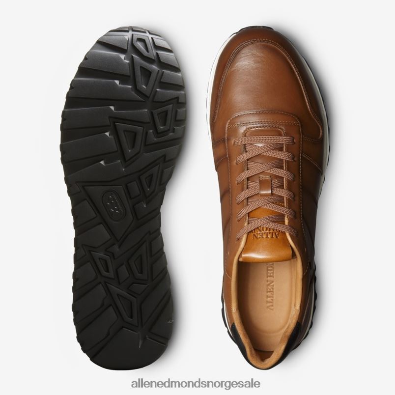 nei Allen Edmonds menn lawson sneaker med snøre kastanjeskinn 64B6Z335
