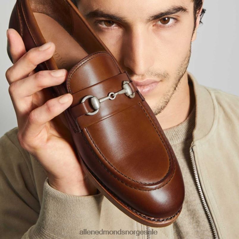 nei Allen Edmonds menn randolph bit loafer chili skinn 64B6Z189