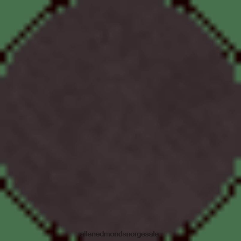 nei Allen Edmonds menn park city værbestandig snørestøvel snus brun semsket skinn 64B6Z148